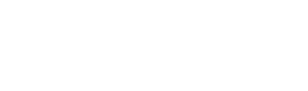 BSS Logo